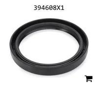 AGCO 394608X1 Радиальное уплотнительное кольцо задней оси