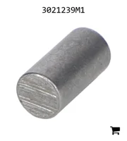 AGCO 3021239M1 Палец