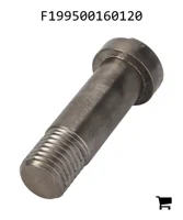 AGCO F199500160120 Болт