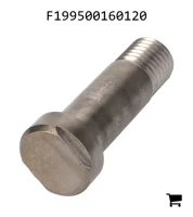 AGCO F199500160120 Болт