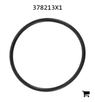 AGCO 378213X1 Уплотнительное кольцо