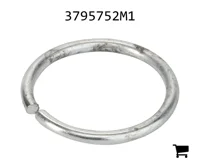 AGCO 3795752M1 Кольцо