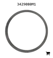 AGCO 3429080M1 Шайба