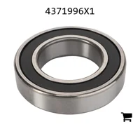 AGCO 4371996X1 Шариковый подшипник