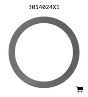 AGCO 3014024X1 Шайба