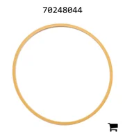 AGCO 70248044 Уплотнительное кольцо