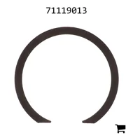 AGCO 71119013 Кольцо