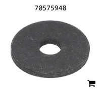 AGCO 70575948 Шайба