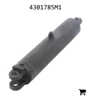 AGCO 4301785M1 Цилиндр подъема