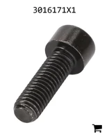 AGCO 3016171X1 Винт с цилиндрической головкой и шестигранным углублением