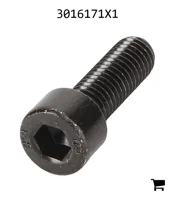 AGCO 3016171X1 Винт с цилиндрической головкой и шестигранным углублением