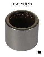 AGCO H101293C91 Игольчатый подшипник