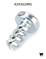 AGCO 4293624M1 Винт