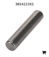 AGCO 3014223X1 Игольчатый подшипник