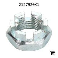 AGCO 2127920K1 Корончатая гайка