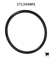 AGCO 3713940M1 Прокладка переднего моста