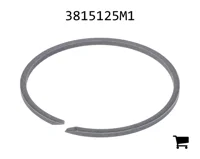 AGCO 3815125M1 Сальник трансмиссии