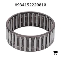 AGCO H934152220010 Игольчатое кольцо подшипника
