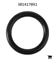 AGCO 3014170X1 Уплотнительное кольцо