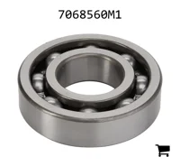 AGCO 7068560M1 Шариковый подшипник