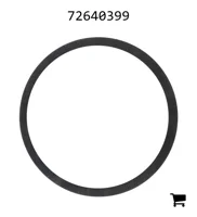 AGCO 72640399 Шайба