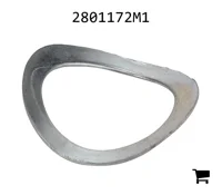 AGCO 2801172M1 Шайба