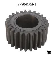 AGCO 3796075M1 Шестерня дифференциала