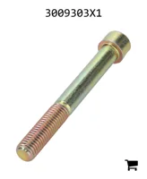 AGCO 3009303X1 Винт с цилиндрической головкой и шестигранным углублением