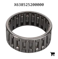AGCO X638525200000 Игольчатое кольцо