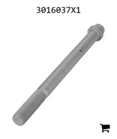 AGCO 3016037X1 Винт с 12-гранной головкой с фланцем