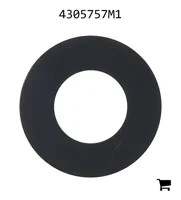 AGCO 4305757M1 Шайба