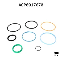 AGCO ACP0017670 Ремкомплект