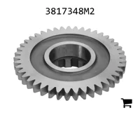 AGCO 3817348M2 Шестерня