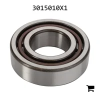 AGCO 3015010X1 Подшипник