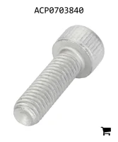 AGCO ACP0703840 Винт с цилиндрической головкой и шестигранным углублением