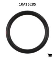 AGCO 10A16285 Кольцо