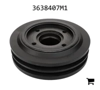 AGCO 3638407M1 Шкив