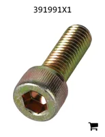 AGCO 391991X1 Винт с цилиндрической головкой и шестигранным углублением