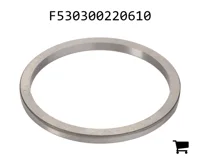 AGCO F530300220610 Шайба