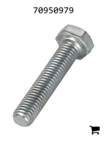 AGCO 70950979 Болт с шестигранной головкой