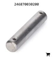 AGCO 246870030200 Болт