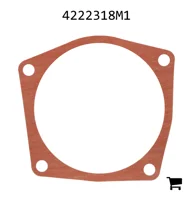 AGCO 4222318M1 Прокладка