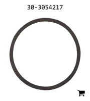 AGCO 30-3054217 Кольцо