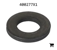 AGCO 400277X1 Шайба