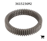 AGCO 3615236M2 Планетарная шестерня