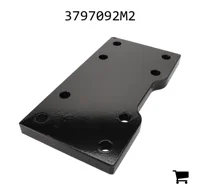 AGCO 3797092M2 Регулировочная шайба