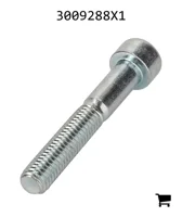 AGCO 3009288X1 Винт с цилиндрической головкой и шестигранным углублением