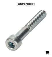 AGCO 3009288X1 Винт с цилиндрической головкой и шестигранным углублением
