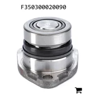 AGCO F350300020090 Шкворень поворотного кулака