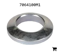 AGCO 7064100M1 Сферическая шайба